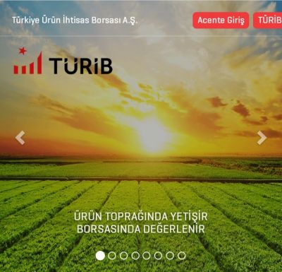 Türib Acenteliği