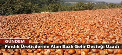 Fındıkta Alan Bazlı Destek Uzadı