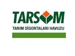 6103 Sayılı Türk Ticaret Kanunu-şirket Ortaklığı Olanlarının Dikkatine.