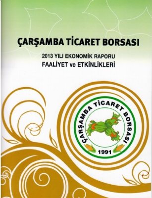2013 Yılı Ekonomik Raporu Faaliyet ve Etkinlikleri