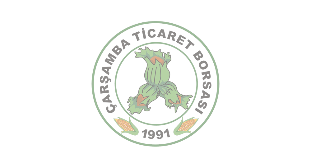 2012 Yılı Başarı Hikayesi